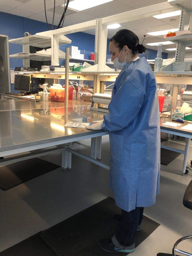 Photo of serology lab worker in lab
